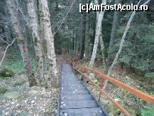 [P33] poteca modernizata partial spre cascada Lolaia » foto by marocanu21
 - 
<span class="allrVoted glyphicon glyphicon-heart hidden" id="av384687"></span>
<a class="m-l-10 hidden" id="sv384687" onclick="voting_Foto_DelVot(,384687,4346)" role="button">șterge vot <span class="glyphicon glyphicon-remove"></span></a>
<a id="v9384687" class=" c-red"  onclick="voting_Foto_SetVot(384687)" role="button"><span class="glyphicon glyphicon-heart-empty"></span> <b>LIKE</b> = Votează poza</a> <img class="hidden"  id="f384687W9" src="/imagini/loader.gif" border="0" /><span class="AjErrMes hidden" id="e384687ErM"></span>