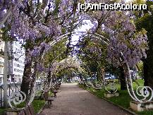 [P18] O alee prin parc » foto by valy_r310
 - 
<span class="allrVoted glyphicon glyphicon-heart hidden" id="av38371"></span>
<a class="m-l-10 hidden" id="sv38371" onclick="voting_Foto_DelVot(,38371,4383)" role="button">șterge vot <span class="glyphicon glyphicon-remove"></span></a>
<a id="v938371" class=" c-red"  onclick="voting_Foto_SetVot(38371)" role="button"><span class="glyphicon glyphicon-heart-empty"></span> <b>LIKE</b> = Votează poza</a> <img class="hidden"  id="f38371W9" src="/imagini/loader.gif" border="0" /><span class="AjErrMes hidden" id="e38371ErM"></span>