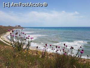 [P13] Din nou cu privirea către mare, din apropierea mănăstirii ”Sfânta Elena de la mare”. » foto by Floryn81
 - 
<span class="allrVoted glyphicon glyphicon-heart hidden" id="av1168534"></span>
<a class="m-l-10 hidden" id="sv1168534" onclick="voting_Foto_DelVot(,1168534,4397)" role="button">șterge vot <span class="glyphicon glyphicon-remove"></span></a>
<a id="v91168534" class=" c-red"  onclick="voting_Foto_SetVot(1168534)" role="button"><span class="glyphicon glyphicon-heart-empty"></span> <b>LIKE</b> = Votează poza</a> <img class="hidden"  id="f1168534W9" src="/imagini/loader.gif" border="0" /><span class="AjErrMes hidden" id="e1168534ErM"></span>