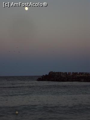 [P46] Şi ca să nu se supere localnicii pe mine, o ultimă fotografie... frumoasă şi romantică.  » foto by Carmen Ion
 - 
<span class="allrVoted glyphicon glyphicon-heart hidden" id="av779287"></span>
<a class="m-l-10 hidden" id="sv779287" onclick="voting_Foto_DelVot(,779287,4397)" role="button">șterge vot <span class="glyphicon glyphicon-remove"></span></a>
<a id="v9779287" class=" c-red"  onclick="voting_Foto_SetVot(779287)" role="button"><span class="glyphicon glyphicon-heart-empty"></span> <b>LIKE</b> = Votează poza</a> <img class="hidden"  id="f779287W9" src="/imagini/loader.gif" border="0" /><span class="AjErrMes hidden" id="e779287ErM"></span>