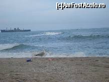 [P04] Plaja pustie, doar un 'locatar' fidel  si noi ce mai admiram marea nesfarsita...printre cateva gunoaie gasite acolo si ramase in uitare... » foto by ileanaxperta*
 - 
<span class="allrVoted glyphicon glyphicon-heart hidden" id="av145154"></span>
<a class="m-l-10 hidden" id="sv145154" onclick="voting_Foto_DelVot(,145154,4397)" role="button">șterge vot <span class="glyphicon glyphicon-remove"></span></a>
<a id="v9145154" class=" c-red"  onclick="voting_Foto_SetVot(145154)" role="button"><span class="glyphicon glyphicon-heart-empty"></span> <b>LIKE</b> = Votează poza</a> <img class="hidden"  id="f145154W9" src="/imagini/loader.gif" border="0" /><span class="AjErrMes hidden" id="e145154ErM"></span>