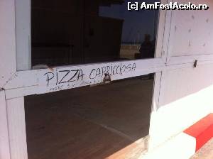 [P02] ceva fin... 
pentru rezervari sunati la numarul de muste de pe pizza » foto by raduhd
 - 
<span class="allrVoted glyphicon glyphicon-heart hidden" id="av539879"></span>
<a class="m-l-10 hidden" id="sv539879" onclick="voting_Foto_DelVot(,539879,4397)" role="button">șterge vot <span class="glyphicon glyphicon-remove"></span></a>
<a id="v9539879" class=" c-red"  onclick="voting_Foto_SetVot(539879)" role="button"><span class="glyphicon glyphicon-heart-empty"></span> <b>LIKE</b> = Votează poza</a> <img class="hidden"  id="f539879W9" src="/imagini/loader.gif" border="0" /><span class="AjErrMes hidden" id="e539879ErM"></span>