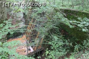 [P20] Mălaia, Vâlcea, Baraj construit cu zeci de ani în urmă pentru regularizare apă în pădurea de lângă Crucea Brătienilor » foto by mprofeanu
 - 
<span class="allrVoted glyphicon glyphicon-heart hidden" id="av1396880"></span>
<a class="m-l-10 hidden" id="sv1396880" onclick="voting_Foto_DelVot(,1396880,4398)" role="button">șterge vot <span class="glyphicon glyphicon-remove"></span></a>
<a id="v91396880" class=" c-red"  onclick="voting_Foto_SetVot(1396880)" role="button"><span class="glyphicon glyphicon-heart-empty"></span> <b>LIKE</b> = Votează poza</a> <img class="hidden"  id="f1396880W9" src="/imagini/loader.gif" border="0" /><span class="AjErrMes hidden" id="e1396880ErM"></span>