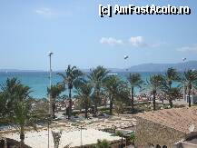 [P01] faleza cu palmieri ce ne-a vegheat distractia la malul Mediteranei » foto by nicoletass
 - 
<span class="allrVoted glyphicon glyphicon-heart hidden" id="av239879"></span>
<a class="m-l-10 hidden" id="sv239879" onclick="voting_Foto_DelVot(,239879,4407)" role="button">șterge vot <span class="glyphicon glyphicon-remove"></span></a>
<a id="v9239879" class=" c-red"  onclick="voting_Foto_SetVot(239879)" role="button"><span class="glyphicon glyphicon-heart-empty"></span> <b>LIKE</b> = Votează poza</a> <img class="hidden"  id="f239879W9" src="/imagini/loader.gif" border="0" /><span class="AjErrMes hidden" id="e239879ErM"></span>