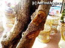 [P28] ne-am oprit la o terasa, in Port Soller, ce avea trunchiurile copacilor cu mici sculpturi » foto by nicoletass
 - 
<span class="allrVoted glyphicon glyphicon-heart hidden" id="av239933"></span>
<a class="m-l-10 hidden" id="sv239933" onclick="voting_Foto_DelVot(,239933,4407)" role="button">șterge vot <span class="glyphicon glyphicon-remove"></span></a>
<a id="v9239933" class=" c-red"  onclick="voting_Foto_SetVot(239933)" role="button"><span class="glyphicon glyphicon-heart-empty"></span> <b>LIKE</b> = Votează poza</a> <img class="hidden"  id="f239933W9" src="/imagini/loader.gif" border="0" /><span class="AjErrMes hidden" id="e239933ErM"></span>