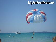 [P06] racoritor, un zbor deasupra marii » foto by nicoletass
 - 
<span class="allrVoted glyphicon glyphicon-heart hidden" id="av239889"></span>
<a class="m-l-10 hidden" id="sv239889" onclick="voting_Foto_DelVot(,239889,4407)" role="button">șterge vot <span class="glyphicon glyphicon-remove"></span></a>
<a id="v9239889" class=" c-red"  onclick="voting_Foto_SetVot(239889)" role="button"><span class="glyphicon glyphicon-heart-empty"></span> <b>LIKE</b> = Votează poza</a> <img class="hidden"  id="f239889W9" src="/imagini/loader.gif" border="0" /><span class="AjErrMes hidden" id="e239889ErM"></span>