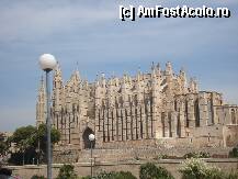 [P08] Catedrala La Seu din capitala insulei Mallorca » foto by nicoletass
 - 
<span class="allrVoted glyphicon glyphicon-heart hidden" id="av239897"></span>
<a class="m-l-10 hidden" id="sv239897" onclick="voting_Foto_DelVot(,239897,4407)" role="button">șterge vot <span class="glyphicon glyphicon-remove"></span></a>
<a id="v9239897" class=" c-red"  onclick="voting_Foto_SetVot(239897)" role="button"><span class="glyphicon glyphicon-heart-empty"></span> <b>LIKE</b> = Votează poza</a> <img class="hidden"  id="f239897W9" src="/imagini/loader.gif" border="0" /><span class="AjErrMes hidden" id="e239897ErM"></span>