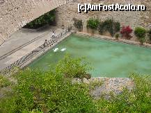 [P17] Lacul din fata catedralei » foto by georgiana
 - 
<span class="allrVoted glyphicon glyphicon-heart hidden" id="av220533"></span>
<a class="m-l-10 hidden" id="sv220533" onclick="voting_Foto_DelVot(,220533,4407)" role="button">șterge vot <span class="glyphicon glyphicon-remove"></span></a>
<a id="v9220533" class=" c-red"  onclick="voting_Foto_SetVot(220533)" role="button"><span class="glyphicon glyphicon-heart-empty"></span> <b>LIKE</b> = Votează poza</a> <img class="hidden"  id="f220533W9" src="/imagini/loader.gif" border="0" /><span class="AjErrMes hidden" id="e220533ErM"></span>