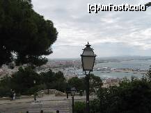 [P27] Palma » foto by rsimona
 - 
<span class="allrVoted glyphicon glyphicon-heart hidden" id="av208782"></span>
<a class="m-l-10 hidden" id="sv208782" onclick="voting_Foto_DelVot(,208782,4407)" role="button">șterge vot <span class="glyphicon glyphicon-remove"></span></a>
<a id="v9208782" class=" c-red"  onclick="voting_Foto_SetVot(208782)" role="button"><span class="glyphicon glyphicon-heart-empty"></span> <b>LIKE</b> = Votează poza</a> <img class="hidden"  id="f208782W9" src="/imagini/loader.gif" border="0" /><span class="AjErrMes hidden" id="e208782ErM"></span>