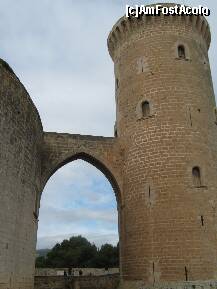 [P28] Castelul Bellver » foto by rsimona
 - 
<span class="allrVoted glyphicon glyphicon-heart hidden" id="av208794"></span>
<a class="m-l-10 hidden" id="sv208794" onclick="voting_Foto_DelVot(,208794,4407)" role="button">șterge vot <span class="glyphicon glyphicon-remove"></span></a>
<a id="v9208794" class=" c-red"  onclick="voting_Foto_SetVot(208794)" role="button"><span class="glyphicon glyphicon-heart-empty"></span> <b>LIKE</b> = Votează poza</a> <img class="hidden"  id="f208794W9" src="/imagini/loader.gif" border="0" /><span class="AjErrMes hidden" id="e208794ErM"></span>