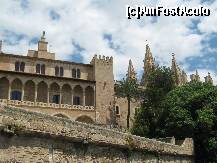 [P35] Palma » foto by rsimona
 - 
<span class="allrVoted glyphicon glyphicon-heart hidden" id="av208813"></span>
<a class="m-l-10 hidden" id="sv208813" onclick="voting_Foto_DelVot(,208813,4407)" role="button">șterge vot <span class="glyphicon glyphicon-remove"></span></a>
<a id="v9208813" class=" c-red"  onclick="voting_Foto_SetVot(208813)" role="button"><span class="glyphicon glyphicon-heart-empty"></span> <b>LIKE</b> = Votează poza</a> <img class="hidden"  id="f208813W9" src="/imagini/loader.gif" border="0" /><span class="AjErrMes hidden" id="e208813ErM"></span>