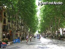 [P40] Palma » foto by rsimona
 - 
<span class="allrVoted glyphicon glyphicon-heart hidden" id="av208825"></span>
<a class="m-l-10 hidden" id="sv208825" onclick="voting_Foto_DelVot(,208825,4407)" role="button">șterge vot <span class="glyphicon glyphicon-remove"></span></a>
<a id="v9208825" class=" c-red"  onclick="voting_Foto_SetVot(208825)" role="button"><span class="glyphicon glyphicon-heart-empty"></span> <b>LIKE</b> = Votează poza</a> <img class="hidden"  id="f208825W9" src="/imagini/loader.gif" border="0" /><span class="AjErrMes hidden" id="e208825ErM"></span>