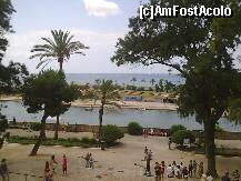 [P32] Mallorca,in parc langa catedrala » foto by Marian Preda
 - 
<span class="allrVoted glyphicon glyphicon-heart hidden" id="av188555"></span>
<a class="m-l-10 hidden" id="sv188555" onclick="voting_Foto_DelVot(,188555,4407)" role="button">șterge vot <span class="glyphicon glyphicon-remove"></span></a>
<a id="v9188555" class=" c-red"  onclick="voting_Foto_SetVot(188555)" role="button"><span class="glyphicon glyphicon-heart-empty"></span> <b>LIKE</b> = Votează poza</a> <img class="hidden"  id="f188555W9" src="/imagini/loader.gif" border="0" /><span class="AjErrMes hidden" id="e188555ErM"></span>