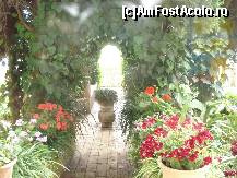 [P18] Descoperă Mallorca-Valldemossa- grădina aferentă chiliei lui Chopin » foto by nicole33
 - 
<span class="allrVoted glyphicon glyphicon-heart hidden" id="av456491"></span>
<a class="m-l-10 hidden" id="sv456491" onclick="voting_Foto_DelVot(,456491,4407)" role="button">șterge vot <span class="glyphicon glyphicon-remove"></span></a>
<a id="v9456491" class=" c-red"  onclick="voting_Foto_SetVot(456491)" role="button"><span class="glyphicon glyphicon-heart-empty"></span> <b>LIKE</b> = Votează poza</a> <img class="hidden"  id="f456491W9" src="/imagini/loader.gif" border="0" /><span class="AjErrMes hidden" id="e456491ErM"></span>