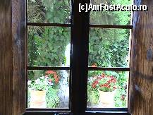 [P21] Descoperă Mallorca-Valldemossa- chilia lui Chopin » foto by nicole33
 - 
<span class="allrVoted glyphicon glyphicon-heart hidden" id="av456494"></span>
<a class="m-l-10 hidden" id="sv456494" onclick="voting_Foto_DelVot(,456494,4407)" role="button">șterge vot <span class="glyphicon glyphicon-remove"></span></a>
<a id="v9456494" class=" c-red"  onclick="voting_Foto_SetVot(456494)" role="button"><span class="glyphicon glyphicon-heart-empty"></span> <b>LIKE</b> = Votează poza</a> <img class="hidden"  id="f456494W9" src="/imagini/loader.gif" border="0" /><span class="AjErrMes hidden" id="e456494ErM"></span>