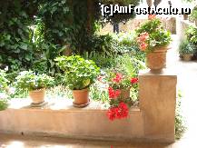 [P36] Descoperă Mallorca-Valldemossa- chilia lui Chopin » foto by nicole33
 - 
<span class="allrVoted glyphicon glyphicon-heart hidden" id="av456509"></span>
<a class="m-l-10 hidden" id="sv456509" onclick="voting_Foto_DelVot(,456509,4407)" role="button">șterge vot <span class="glyphicon glyphicon-remove"></span></a>
<a id="v9456509" class=" c-red"  onclick="voting_Foto_SetVot(456509)" role="button"><span class="glyphicon glyphicon-heart-empty"></span> <b>LIKE</b> = Votează poza</a> <img class="hidden"  id="f456509W9" src="/imagini/loader.gif" border="0" /><span class="AjErrMes hidden" id="e456509ErM"></span>