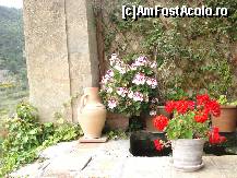 [P38] Descoperă Mallorca-Valldemossa- chilia lui Chopin » foto by nicole33
 - 
<span class="allrVoted glyphicon glyphicon-heart hidden" id="av456511"></span>
<a class="m-l-10 hidden" id="sv456511" onclick="voting_Foto_DelVot(,456511,4407)" role="button">șterge vot <span class="glyphicon glyphicon-remove"></span></a>
<a id="v9456511" class=" c-red"  onclick="voting_Foto_SetVot(456511)" role="button"><span class="glyphicon glyphicon-heart-empty"></span> <b>LIKE</b> = Votează poza</a> <img class="hidden"  id="f456511W9" src="/imagini/loader.gif" border="0" /><span class="AjErrMes hidden" id="e456511ErM"></span>