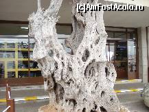 [P06] Descoperă Mallorca - în vizită la magazinul fabricii de obiecte din lemn de măslin » foto by nicole33
 - 
<span class="allrVoted glyphicon glyphicon-heart hidden" id="av459870"></span>
<a class="m-l-10 hidden" id="sv459870" onclick="voting_Foto_DelVot(,459870,4407)" role="button">șterge vot <span class="glyphicon glyphicon-remove"></span></a>
<a id="v9459870" class=" c-red"  onclick="voting_Foto_SetVot(459870)" role="button"><span class="glyphicon glyphicon-heart-empty"></span> <b>LIKE</b> = Votează poza</a> <img class="hidden"  id="f459870W9" src="/imagini/loader.gif" border="0" /><span class="AjErrMes hidden" id="e459870ErM"></span>