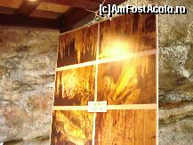 [P71] Descoperă Mallorca - Peștera Dragonului - poze superbe de vânzare » foto by nicole33
 - 
<span class="allrVoted glyphicon glyphicon-heart hidden" id="av459945"></span>
<a class="m-l-10 hidden" id="sv459945" onclick="voting_Foto_DelVot(,459945,4407)" role="button">șterge vot <span class="glyphicon glyphicon-remove"></span></a>
<a id="v9459945" class=" c-red"  onclick="voting_Foto_SetVot(459945)" role="button"><span class="glyphicon glyphicon-heart-empty"></span> <b>LIKE</b> = Votează poza</a> <img class="hidden"  id="f459945W9" src="/imagini/loader.gif" border="0" /><span class="AjErrMes hidden" id="e459945ErM"></span>