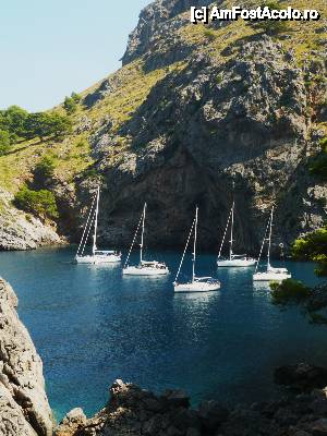 [P10] Turul insulei - mallorca (spre plaja torrente de pareis)  » foto by Ioana_Ioana
 - 
<span class="allrVoted glyphicon glyphicon-heart hidden" id="av411486"></span>
<a class="m-l-10 hidden" id="sv411486" onclick="voting_Foto_DelVot(,411486,4407)" role="button">șterge vot <span class="glyphicon glyphicon-remove"></span></a>
<a id="v9411486" class=" c-red"  onclick="voting_Foto_SetVot(411486)" role="button"><span class="glyphicon glyphicon-heart-empty"></span> <b>LIKE</b> = Votează poza</a> <img class="hidden"  id="f411486W9" src="/imagini/loader.gif" border="0" /><span class="AjErrMes hidden" id="e411486ErM"></span>