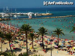 [P16] mallorca. playa arenal... din balcon » foto by Ioana_Ioana
 - 
<span class="allrVoted glyphicon glyphicon-heart hidden" id="av411492"></span>
<a class="m-l-10 hidden" id="sv411492" onclick="voting_Foto_DelVot(,411492,4407)" role="button">șterge vot <span class="glyphicon glyphicon-remove"></span></a>
<a id="v9411492" class=" c-red"  onclick="voting_Foto_SetVot(411492)" role="button"><span class="glyphicon glyphicon-heart-empty"></span> <b>LIKE</b> = Votează poza</a> <img class="hidden"  id="f411492W9" src="/imagini/loader.gif" border="0" /><span class="AjErrMes hidden" id="e411492ErM"></span>