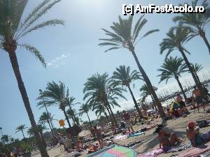 [P23] plaja el arenal » foto by Ioana_Ioana
 - 
<span class="allrVoted glyphicon glyphicon-heart hidden" id="av411499"></span>
<a class="m-l-10 hidden" id="sv411499" onclick="voting_Foto_DelVot(,411499,4407)" role="button">șterge vot <span class="glyphicon glyphicon-remove"></span></a>
<a id="v9411499" class=" c-red"  onclick="voting_Foto_SetVot(411499)" role="button"><span class="glyphicon glyphicon-heart-empty"></span> <b>LIKE</b> = Votează poza</a> <img class="hidden"  id="f411499W9" src="/imagini/loader.gif" border="0" /><span class="AjErrMes hidden" id="e411499ErM"></span>