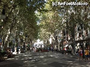 [P06] bulevardul Rambla - mallorca » foto by Ioana_Ioana
 - 
<span class="allrVoted glyphicon glyphicon-heart hidden" id="av411480"></span>
<a class="m-l-10 hidden" id="sv411480" onclick="voting_Foto_DelVot(,411480,4407)" role="button">șterge vot <span class="glyphicon glyphicon-remove"></span></a>
<a id="v9411480" class=" c-red"  onclick="voting_Foto_SetVot(411480)" role="button"><span class="glyphicon glyphicon-heart-empty"></span> <b>LIKE</b> = Votează poza</a> <img class="hidden"  id="f411480W9" src="/imagini/loader.gif" border="0" /><span class="AjErrMes hidden" id="e411480ErM"></span>