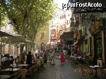 [P18] pe strazile Palmei » foto by artemisa24
 - 
<span class="allrVoted glyphicon glyphicon-heart hidden" id="av131563"></span>
<a class="m-l-10 hidden" id="sv131563" onclick="voting_Foto_DelVot(,131563,4407)" role="button">șterge vot <span class="glyphicon glyphicon-remove"></span></a>
<a id="v9131563" class=" c-red"  onclick="voting_Foto_SetVot(131563)" role="button"><span class="glyphicon glyphicon-heart-empty"></span> <b>LIKE</b> = Votează poza</a> <img class="hidden"  id="f131563W9" src="/imagini/loader.gif" border="0" /><span class="AjErrMes hidden" id="e131563ErM"></span>