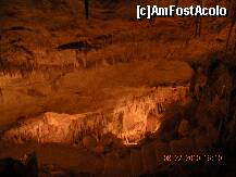 [P54]  -- <small>// FĂRĂ DESCRIERE</small> » foto by artemisa24
 - 
<span class="allrVoted glyphicon glyphicon-heart hidden" id="av131619"></span>
<a class="m-l-10 hidden" id="sv131619" onclick="voting_Foto_DelVot(,131619,4407)" role="button">șterge vot <span class="glyphicon glyphicon-remove"></span></a>
<a id="v9131619" class=" c-red"  onclick="voting_Foto_SetVot(131619)" role="button"><span class="glyphicon glyphicon-heart-empty"></span> <b>LIKE</b> = Votează poza</a> <img class="hidden"  id="f131619W9" src="/imagini/loader.gif" border="0" /><span class="AjErrMes hidden" id="e131619ErM"></span>