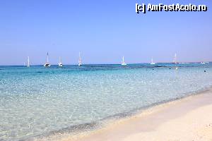 [P01] Plaja Es Trenc » foto by alynush25
 - 
<span class="allrVoted glyphicon glyphicon-heart hidden" id="av365134"></span>
<a class="m-l-10 hidden" id="sv365134" onclick="voting_Foto_DelVot(,365134,4407)" role="button">șterge vot <span class="glyphicon glyphicon-remove"></span></a>
<a id="v9365134" class=" c-red"  onclick="voting_Foto_SetVot(365134)" role="button"><span class="glyphicon glyphicon-heart-empty"></span> <b>LIKE</b> = Votează poza</a> <img class="hidden"  id="f365134W9" src="/imagini/loader.gif" border="0" /><span class="AjErrMes hidden" id="e365134ErM"></span>