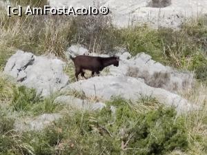 [P54] Pe drumul de întoarcere » foto by crismis
 - 
<span class="allrVoted glyphicon glyphicon-heart hidden" id="av1381726"></span>
<a class="m-l-10 hidden" id="sv1381726" onclick="voting_Foto_DelVot(,1381726,4407)" role="button">șterge vot <span class="glyphicon glyphicon-remove"></span></a>
<a id="v91381726" class=" c-red"  onclick="voting_Foto_SetVot(1381726)" role="button"><span class="glyphicon glyphicon-heart-empty"></span> <b>LIKE</b> = Votează poza</a> <img class="hidden"  id="f1381726W9" src="/imagini/loader.gif" border="0" /><span class="AjErrMes hidden" id="e1381726ErM"></span>