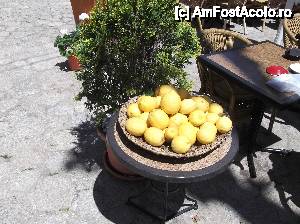 [P22] Intalneai des asa ceva!  » foto by balasa violeta
 - 
<span class="allrVoted glyphicon glyphicon-heart hidden" id="av451044"></span>
<a class="m-l-10 hidden" id="sv451044" onclick="voting_Foto_DelVot(,451044,4407)" role="button">șterge vot <span class="glyphicon glyphicon-remove"></span></a>
<a id="v9451044" class=" c-red"  onclick="voting_Foto_SetVot(451044)" role="button"><span class="glyphicon glyphicon-heart-empty"></span> <b>LIKE</b> = Votează poza</a> <img class="hidden"  id="f451044W9" src="/imagini/loader.gif" border="0" /><span class="AjErrMes hidden" id="e451044ErM"></span>