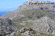 [P21] Carari de munte.  » foto by balasa violeta
 - 
<span class="allrVoted glyphicon glyphicon-heart hidden" id="av451791"></span>
<a class="m-l-10 hidden" id="sv451791" onclick="voting_Foto_DelVot(,451791,4407)" role="button">șterge vot <span class="glyphicon glyphicon-remove"></span></a>
<a id="v9451791" class=" c-red"  onclick="voting_Foto_SetVot(451791)" role="button"><span class="glyphicon glyphicon-heart-empty"></span> <b>LIKE</b> = Votează poza</a> <img class="hidden"  id="f451791W9" src="/imagini/loader.gif" border="0" /><span class="AjErrMes hidden" id="e451791ErM"></span>