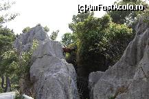 [P25] O capra... alpinista!  » foto by balasa violeta
 - 
<span class="allrVoted glyphicon glyphicon-heart hidden" id="av451795"></span>
<a class="m-l-10 hidden" id="sv451795" onclick="voting_Foto_DelVot(,451795,4407)" role="button">șterge vot <span class="glyphicon glyphicon-remove"></span></a>
<a id="v9451795" class=" c-red"  onclick="voting_Foto_SetVot(451795)" role="button"><span class="glyphicon glyphicon-heart-empty"></span> <b>LIKE</b> = Votează poza</a> <img class="hidden"  id="f451795W9" src="/imagini/loader.gif" border="0" /><span class="AjErrMes hidden" id="e451795ErM"></span>