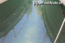 [P03] Multi pestisori.  » foto by balasa violeta
 - 
<span class="allrVoted glyphicon glyphicon-heart hidden" id="av451749"></span>
<a class="m-l-10 hidden" id="sv451749" onclick="voting_Foto_DelVot(,451749,4407)" role="button">șterge vot <span class="glyphicon glyphicon-remove"></span></a>
<a id="v9451749" class=" c-red"  onclick="voting_Foto_SetVot(451749)" role="button"><span class="glyphicon glyphicon-heart-empty"></span> <b>LIKE</b> = Votează poza</a> <img class="hidden"  id="f451749W9" src="/imagini/loader.gif" border="0" /><span class="AjErrMes hidden" id="e451749ErM"></span>