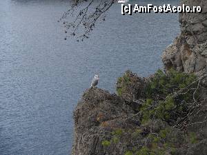 [P11] Excursie in Serra de Tramuntana » foto by Mika
 - 
<span class="allrVoted glyphicon glyphicon-heart hidden" id="av378523"></span>
<a class="m-l-10 hidden" id="sv378523" onclick="voting_Foto_DelVot(,378523,4407)" role="button">șterge vot <span class="glyphicon glyphicon-remove"></span></a>
<a id="v9378523" class=" c-red"  onclick="voting_Foto_SetVot(378523)" role="button"><span class="glyphicon glyphicon-heart-empty"></span> <b>LIKE</b> = Votează poza</a> <img class="hidden"  id="f378523W9" src="/imagini/loader.gif" border="0" /><span class="AjErrMes hidden" id="e378523ErM"></span>