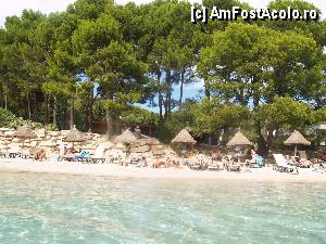 [P44] Excursie in Serra de Tramuntana / Plaja Formentor » foto by Mika
 - 
<span class="allrVoted glyphicon glyphicon-heart hidden" id="av378569"></span>
<a class="m-l-10 hidden" id="sv378569" onclick="voting_Foto_DelVot(,378569,4407)" role="button">șterge vot <span class="glyphicon glyphicon-remove"></span></a>
<a id="v9378569" class=" c-red"  onclick="voting_Foto_SetVot(378569)" role="button"><span class="glyphicon glyphicon-heart-empty"></span> <b>LIKE</b> = Votează poza</a> <img class="hidden"  id="f378569W9" src="/imagini/loader.gif" border="0" /><span class="AjErrMes hidden" id="e378569ErM"></span>