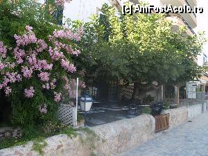 [P55] Excursie in Serra de Tramuntana / Pe faleza din Pollenca, sunte vile cochete cu terase si multe flori » foto by Mika
 - 
<span class="allrVoted glyphicon glyphicon-heart hidden" id="av378585"></span>
<a class="m-l-10 hidden" id="sv378585" onclick="voting_Foto_DelVot(,378585,4407)" role="button">șterge vot <span class="glyphicon glyphicon-remove"></span></a>
<a id="v9378585" class=" c-red"  onclick="voting_Foto_SetVot(378585)" role="button"><span class="glyphicon glyphicon-heart-empty"></span> <b>LIKE</b> = Votează poza</a> <img class="hidden"  id="f378585W9" src="/imagini/loader.gif" border="0" /><span class="AjErrMes hidden" id="e378585ErM"></span>