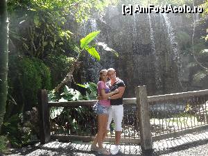 [P09] aquarium » foto by ma_ryan
 - 
<span class="allrVoted glyphicon glyphicon-heart hidden" id="av415095"></span>
<a class="m-l-10 hidden" id="sv415095" onclick="voting_Foto_DelVot(,415095,4407)" role="button">șterge vot <span class="glyphicon glyphicon-remove"></span></a>
<a id="v9415095" class=" c-red"  onclick="voting_Foto_SetVot(415095)" role="button"><span class="glyphicon glyphicon-heart-empty"></span> <b>LIKE</b> = Votează poza</a> <img class="hidden"  id="f415095W9" src="/imagini/loader.gif" border="0" /><span class="AjErrMes hidden" id="e415095ErM"></span>