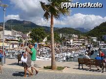 [P23] soller » foto by Alb
 - 
<span class="allrVoted glyphicon glyphicon-heart hidden" id="av192101"></span>
<a class="m-l-10 hidden" id="sv192101" onclick="voting_Foto_DelVot(,192101,4407)" role="button">șterge vot <span class="glyphicon glyphicon-remove"></span></a>
<a id="v9192101" class=" c-red"  onclick="voting_Foto_SetVot(192101)" role="button"><span class="glyphicon glyphicon-heart-empty"></span> <b>LIKE</b> = Votează poza</a> <img class="hidden"  id="f192101W9" src="/imagini/loader.gif" border="0" /><span class="AjErrMes hidden" id="e192101ErM"></span>