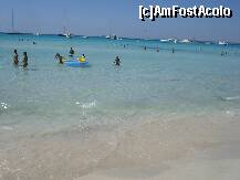 [P39] es trenc » foto by Alb
 - 
<span class="allrVoted glyphicon glyphicon-heart hidden" id="av192117"></span>
<a class="m-l-10 hidden" id="sv192117" onclick="voting_Foto_DelVot(,192117,4407)" role="button">șterge vot <span class="glyphicon glyphicon-remove"></span></a>
<a id="v9192117" class=" c-red"  onclick="voting_Foto_SetVot(192117)" role="button"><span class="glyphicon glyphicon-heart-empty"></span> <b>LIKE</b> = Votează poza</a> <img class="hidden"  id="f192117W9" src="/imagini/loader.gif" border="0" /><span class="AjErrMes hidden" id="e192117ErM"></span>