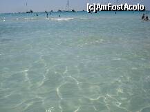 [P41] culoarea apei in es trenc » foto by Alb
 - 
<span class="allrVoted glyphicon glyphicon-heart hidden" id="av192119"></span>
<a class="m-l-10 hidden" id="sv192119" onclick="voting_Foto_DelVot(,192119,4407)" role="button">șterge vot <span class="glyphicon glyphicon-remove"></span></a>
<a id="v9192119" class=" c-red"  onclick="voting_Foto_SetVot(192119)" role="button"><span class="glyphicon glyphicon-heart-empty"></span> <b>LIKE</b> = Votează poza</a> <img class="hidden"  id="f192119W9" src="/imagini/loader.gif" border="0" /><span class="AjErrMes hidden" id="e192119ErM"></span>