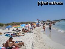 [P42] es trenc » foto by Alb
 - 
<span class="allrVoted glyphicon glyphicon-heart hidden" id="av192120"></span>
<a class="m-l-10 hidden" id="sv192120" onclick="voting_Foto_DelVot(,192120,4407)" role="button">șterge vot <span class="glyphicon glyphicon-remove"></span></a>
<a id="v9192120" class=" c-red"  onclick="voting_Foto_SetVot(192120)" role="button"><span class="glyphicon glyphicon-heart-empty"></span> <b>LIKE</b> = Votează poza</a> <img class="hidden"  id="f192120W9" src="/imagini/loader.gif" border="0" /><span class="AjErrMes hidden" id="e192120ErM"></span>