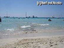 [P43] plaja es trenc in sudul insulei » foto by Alb
 - 
<span class="allrVoted glyphicon glyphicon-heart hidden" id="av192121"></span>
<a class="m-l-10 hidden" id="sv192121" onclick="voting_Foto_DelVot(,192121,4407)" role="button">șterge vot <span class="glyphicon glyphicon-remove"></span></a>
<a id="v9192121" class=" c-red"  onclick="voting_Foto_SetVot(192121)" role="button"><span class="glyphicon glyphicon-heart-empty"></span> <b>LIKE</b> = Votează poza</a> <img class="hidden"  id="f192121W9" src="/imagini/loader.gif" border="0" /><span class="AjErrMes hidden" id="e192121ErM"></span>