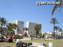 [P05]  -- <small>// FĂRĂ DESCRIERE</small> » foto by Alb
 - 
<span class="allrVoted glyphicon glyphicon-heart hidden" id="av192083"></span>
<a class="m-l-10 hidden" id="sv192083" onclick="voting_Foto_DelVot(,192083,4407)" role="button">șterge vot <span class="glyphicon glyphicon-remove"></span></a>
<a id="v9192083" class=" c-red"  onclick="voting_Foto_SetVot(192083)" role="button"><span class="glyphicon glyphicon-heart-empty"></span> <b>LIKE</b> = Votează poza</a> <img class="hidden"  id="f192083W9" src="/imagini/loader.gif" border="0" /><span class="AjErrMes hidden" id="e192083ErM"></span>