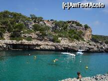 [P55] es llombards » foto by Alb
 - 
<span class="allrVoted glyphicon glyphicon-heart hidden" id="av192133"></span>
<a class="m-l-10 hidden" id="sv192133" onclick="voting_Foto_DelVot(,192133,4407)" role="button">șterge vot <span class="glyphicon glyphicon-remove"></span></a>
<a id="v9192133" class=" c-red"  onclick="voting_Foto_SetVot(192133)" role="button"><span class="glyphicon glyphicon-heart-empty"></span> <b>LIKE</b> = Votează poza</a> <img class="hidden"  id="f192133W9" src="/imagini/loader.gif" border="0" /><span class="AjErrMes hidden" id="e192133ErM"></span>