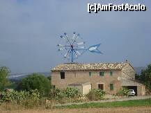 [P60] moara mallorca » foto by Alb
 - 
<span class="allrVoted glyphicon glyphicon-heart hidden" id="av192138"></span>
<a class="m-l-10 hidden" id="sv192138" onclick="voting_Foto_DelVot(,192138,4407)" role="button">șterge vot <span class="glyphicon glyphicon-remove"></span></a>
<a id="v9192138" class=" c-red"  onclick="voting_Foto_SetVot(192138)" role="button"><span class="glyphicon glyphicon-heart-empty"></span> <b>LIKE</b> = Votează poza</a> <img class="hidden"  id="f192138W9" src="/imagini/loader.gif" border="0" /><span class="AjErrMes hidden" id="e192138ErM"></span>