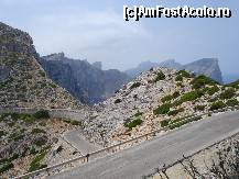 [P11]  -- <small>// FĂRĂ DESCRIERE</small> » foto by Alb
 - 
<span class="allrVoted glyphicon glyphicon-heart hidden" id="av40520"></span>
<a class="m-l-10 hidden" id="sv40520" onclick="voting_Foto_DelVot(,40520,4407)" role="button">șterge vot <span class="glyphicon glyphicon-remove"></span></a>
<a id="v940520" class=" c-red"  onclick="voting_Foto_SetVot(40520)" role="button"><span class="glyphicon glyphicon-heart-empty"></span> <b>LIKE</b> = Votează poza</a> <img class="hidden"  id="f40520W9" src="/imagini/loader.gif" border="0" /><span class="AjErrMes hidden" id="e40520ErM"></span>