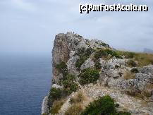 [P12]  -- <small>// FĂRĂ DESCRIERE</small> » foto by Alb
 - 
<span class="allrVoted glyphicon glyphicon-heart hidden" id="av40522"></span>
<a class="m-l-10 hidden" id="sv40522" onclick="voting_Foto_DelVot(,40522,4407)" role="button">șterge vot <span class="glyphicon glyphicon-remove"></span></a>
<a id="v940522" class=" c-red"  onclick="voting_Foto_SetVot(40522)" role="button"><span class="glyphicon glyphicon-heart-empty"></span> <b>LIKE</b> = Votează poza</a> <img class="hidden"  id="f40522W9" src="/imagini/loader.gif" border="0" /><span class="AjErrMes hidden" id="e40522ErM"></span>