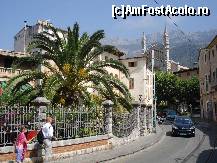 [P14] soller » foto by Alb
 - 
<span class="allrVoted glyphicon glyphicon-heart hidden" id="av40524"></span>
<a class="m-l-10 hidden" id="sv40524" onclick="voting_Foto_DelVot(,40524,4407)" role="button">șterge vot <span class="glyphicon glyphicon-remove"></span></a>
<a id="v940524" class=" c-red"  onclick="voting_Foto_SetVot(40524)" role="button"><span class="glyphicon glyphicon-heart-empty"></span> <b>LIKE</b> = Votează poza</a> <img class="hidden"  id="f40524W9" src="/imagini/loader.gif" border="0" /><span class="AjErrMes hidden" id="e40524ErM"></span>